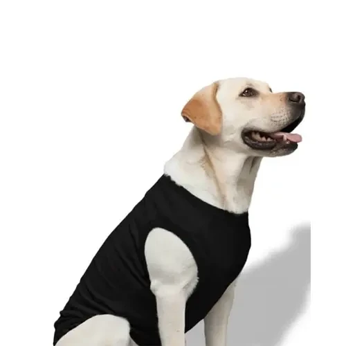 Dog T Shirt